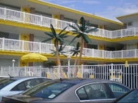 American Safari Motel 2*