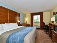 Comfort Inn Catonsville 2*