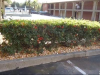BEST WESTERN Willits Inn 3*