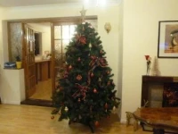Stansted Inn 