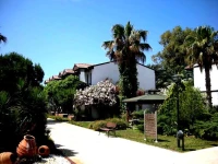 Dora Club Asa Beach 4*