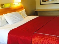 Super Inn Downtown 3*