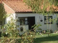 The Vines 4*