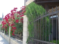 Villa Amfora / Вилла Амфора 3*