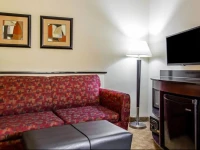Comfort Suites Stockbridge 2*