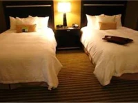 Hampton Inn & Suites Big Spring 3*