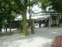 Suizenji Comfort Hotel 3*