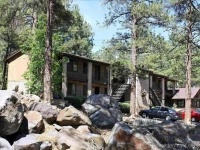Motel in the Pines 2*