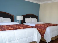 Rex Motel 2*