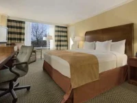 Hilton Stamford Hotel & Executive Meeting Center 3*