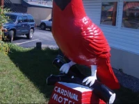Cardinal Motel Bowling Green 2*