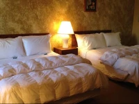 The Joy Motel 2*