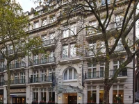 The Rembrandt 4*