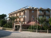 Daisy Garden 3*