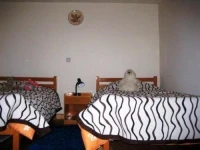 Floras House 