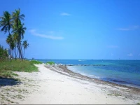 Ocean Key Resort 3*