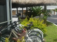 Everglades City Motel 2*