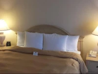 Clarion Inn South Holland 3*