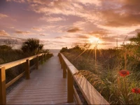 GullWing Beach Resort 3*