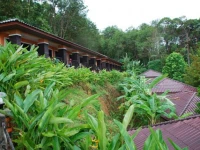 Absolute Patong Ville Resort 3*