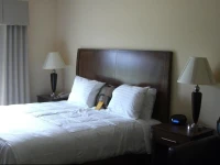 Holiday Inn Hotel & Suites Barboursville 3*