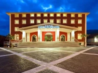 Virginia Palace 4*