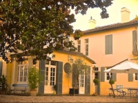 Campbellii 2*