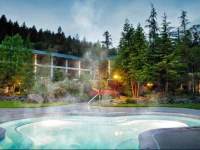 Bonneville Hot Springs Resort & Spa 3*