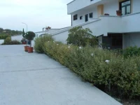Vittoria 3*