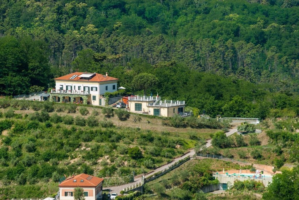 Gli Ulivi di Montalbano 