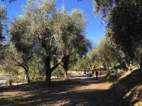Camper Village 