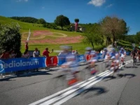 Tosco Romagnolo 4*