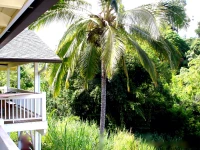 Bamboo Valley Inn 2*