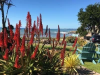 Cambria Shores Inn 2*