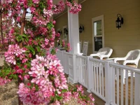 Wine Country Inn Palisade 3*