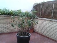 Hotel Colon 27 2*