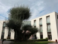 Hotel Can Galvany 4*