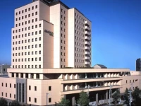 Mielparque Nagoya 3*
