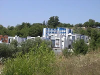 Blue White 