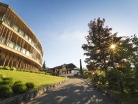 Der Waldhof 4*