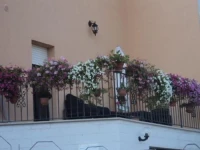 La Casa dei Fiori 