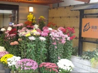 Ryokan Hakura 2*