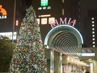 Tokyo Central Youth Hostel 2*
