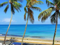 Tres Palmas Inn