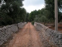 Masseria Trotta 