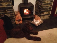 Dolffanog Fach 5*