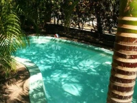 Gecko Lodge 