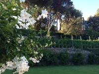 Villa Agnese 3*