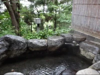 Hotel Shirogane 3*
