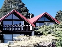 Wakatipu View Apartments 3*